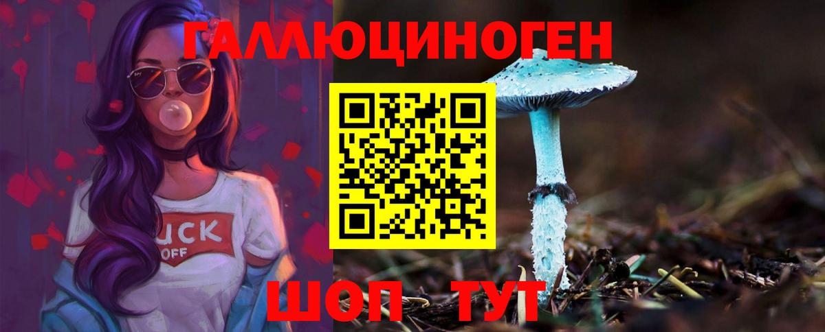 Галлюциногенные грибы Cubensis Карасук