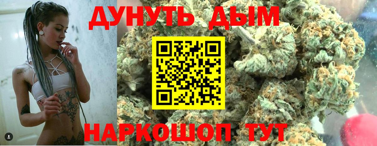 Бошки Шишки планчик Карасук